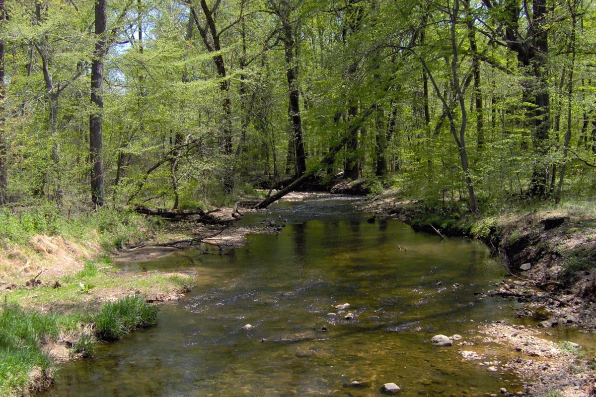 Mill Creek - wide expanse of creek with wooded area on both sides