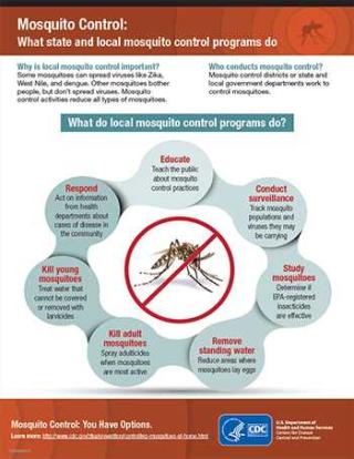 CDC Flyer