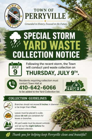 Special Yard Waste Collection from the Storm
