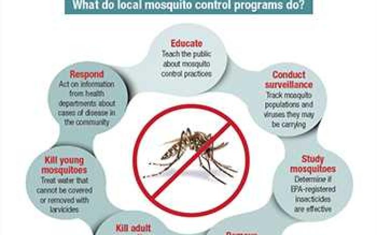 CDC Flyer