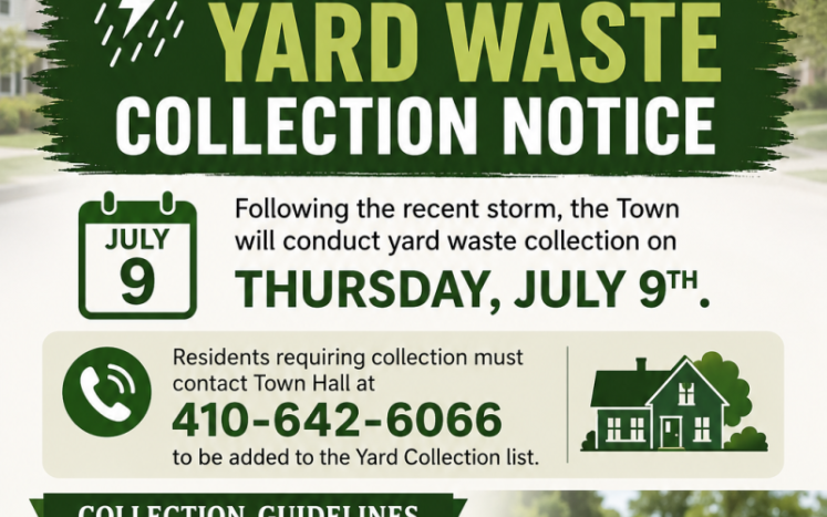 Special Yard Waste Collection from the Storm